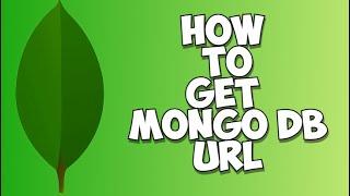 How to get a mongoDB url | Aestra Tech