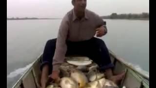صيد السمك نهر الفرات ديرالزور