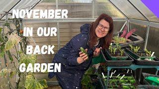 Vegetable Back Garden Tour - November Garden Update