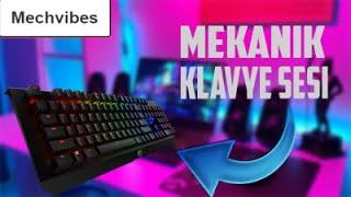 MEKANİK KLAVYE SESİ NASIL YAPILIR ? | MEKANİK KLAVYE SESİ PROGRAMI | MECVİBES 2022