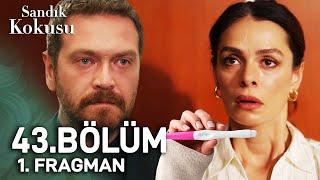 Sandık Kokusu 42. Bölüm 2. Fragmanı | "Hamileyim Ben Bora..."