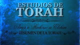 Estudios de Torah 1  Amor o Rechazo a Elohim   Resumen de Torah