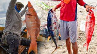 Giant Tuna and Snapper | Offshore Fishing in Jamaica