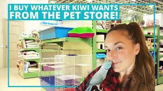 Adventure To The Pet Store With The Blue Chicken!