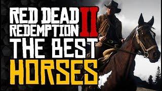 Complete HORSE Guide - The BEST Horses and How To Get Them - Red Dead Redemption 2
