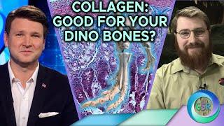 Good For Your Dino Bones l Joseph Hubbard and David Rives on the Genesis Science Report