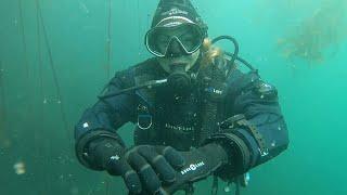 Diving Kelp Forests at Ogden Point Breakwater | Victoria, BC