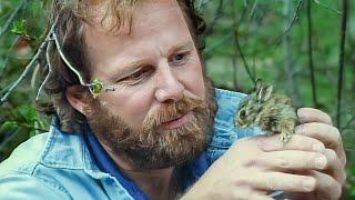 Wild America Specials | Our Favorite Animals | HD