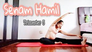 Senam Hamil Ringan | Aktifitas Ibu Hamil | Pregnancy Workout | Trimester 3 | Cerita Kehamilan