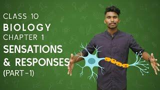 Sensations and Responses - part 1 | Class 10 | Biology | Chapter 1 | Kerala State Syllabus