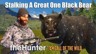 Stalking A Great One Black Bear - theHunter Call Of The Wild