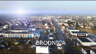 Brodnickie firmy (2018)