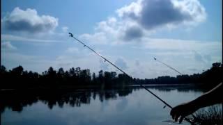 Рыбалка на реке Десна. Fishing on the river Desna