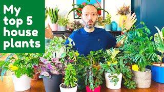 My Favorite Houseplants | Indoor Plants You Should Own