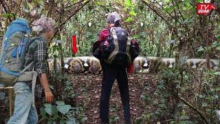 Heboh!! Pendaki Gunung Di Jawa Timur Rekam Ular Raksasa Melintang Menutupi Jalur Pendakian...