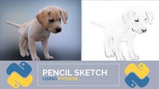 Image To Pencil Sketch In 12 Lines Of Code Using Python