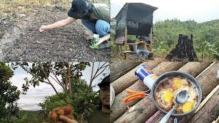 Menyemai benih tanaman, petik buah rambutan dan gerimis di pondok kebun