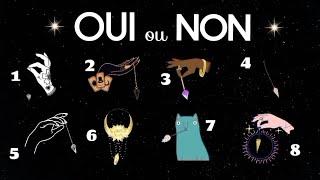  Oui ou Non️ Réponse à ta question + explications ️ Guidance intemporelle à 8 choix 