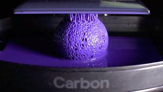 Insanely Beautiful 3D Printing Time Lapse