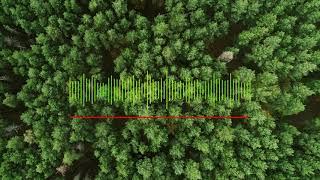Ambient Background Music for Presentations 13 minutes