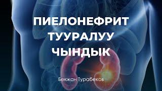 Пиелонефрит тууралуу чындык