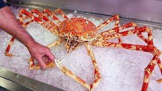 Japanese Street Food - $500 GIANT SPIDER CRAB Seafood Okinawa Japan