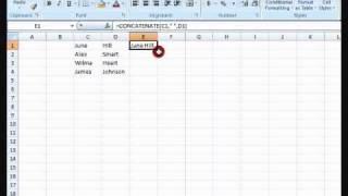How to concatenate using Microsoft Excel