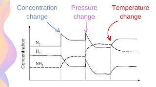 How to Answer Equilibrium Graph Exam Questions // HSC Chemistry