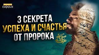 3 СЕКРЕТА УСПЕХА И СЧАСТЬЯ от Пророка Мухаммада ﷺ