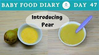 Baby Food | Baby Food Diary | Day 47 | Making Pear Baby Food Recipe | 6+ | Baby Food With Pear