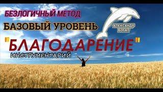 ИНСТРУМЕНТАРИЙ "БЛАГОДАРЕНИЕ" БАЗОВЫЙ УРОВЕНЬ. БЕЗЛОГИЧНЫЙ МЕТОД. ДУХОВНЫЙ МЕТОД