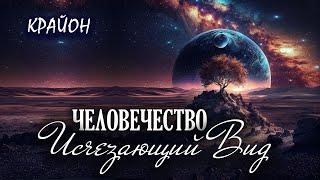 Крайон. Человечество - Исчезающий вид. Каков следующий этап эволюции?