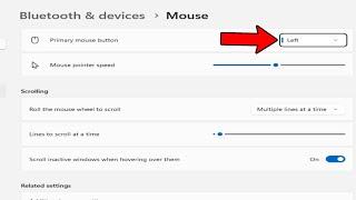 How To Swap Left and Right Mouse Buttons in Windows 11