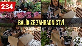 ROZBALUJI VELKÝ BALÍK ZE ZAHRADNICTVÍ | TRVALKY, SKALNIČKY, LISTNATÉ KEŘE A CIBULOVINY