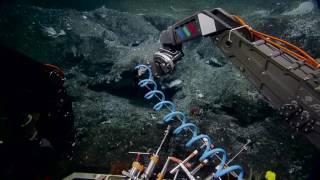 Exciting Discovery of an Active Seep Site | Nautilus Live