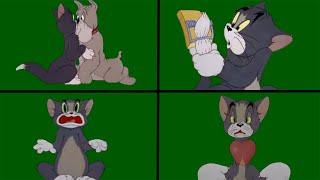 TOM AND JERRY GREEN SCREEN | 12