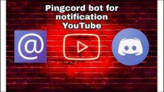 Seup Pingcord bot | notification YouTube | DISCORD EDUCATION