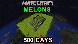 I Farmed Melons for 500 Days