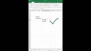 Multiple Lines in One Cell in MS Excel
