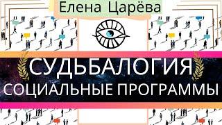 Социальные программы | Что это? | Судьбалогия | Судьболог Елена Царева