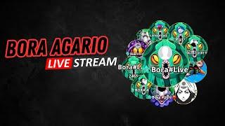  BORA LIVE  | AGAR.IO MOBILE | AP SOUTHEAST | USE TAG BORA#LIVE