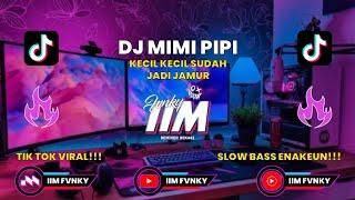 DJ MIMI PIPI X KECIL KECIL SUDAH JADI JAMUR  FYP TIK TOK VIRAL - BY IIM FVNKY
