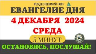 4 ДЕКАБРЯ СРЕДА ЕВАНГЕЛИЕ ДНЯ 5 МИНУТ АПОСТОЛ МОЛИТВЫ 2024 #мирправославия