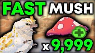 FASTEST WAY to GET MUSH! | Creatures of Sonaria