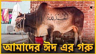 Qurbani Eid Spacial Vlog | Big Cow | Gorur Haat 2024