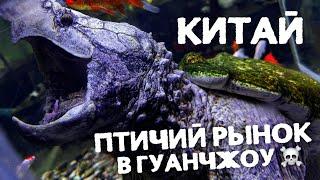 Ужасы китайского рынка - что мы увидели?