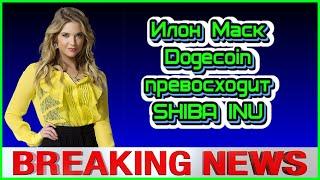 Илон Маск считает, что Dogecoin превосходит SHIBA INU