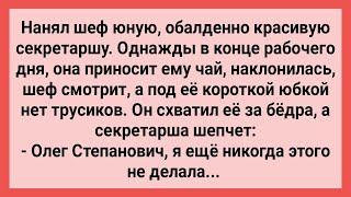 Секретарша без Белья Принесла Шефу Чай! Сборник Свежих Смешных Жизненных Анекдотов!