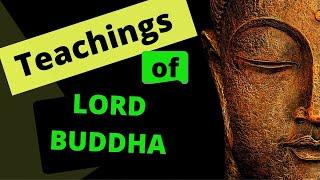 TEACHINGS OF BUDDHA| HISTORY| CBSE| ICSE | Career Explanations