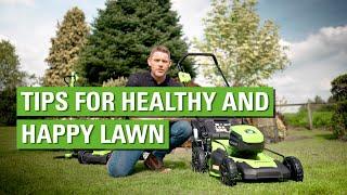 Tips for a Healthy and Happy Lawn
